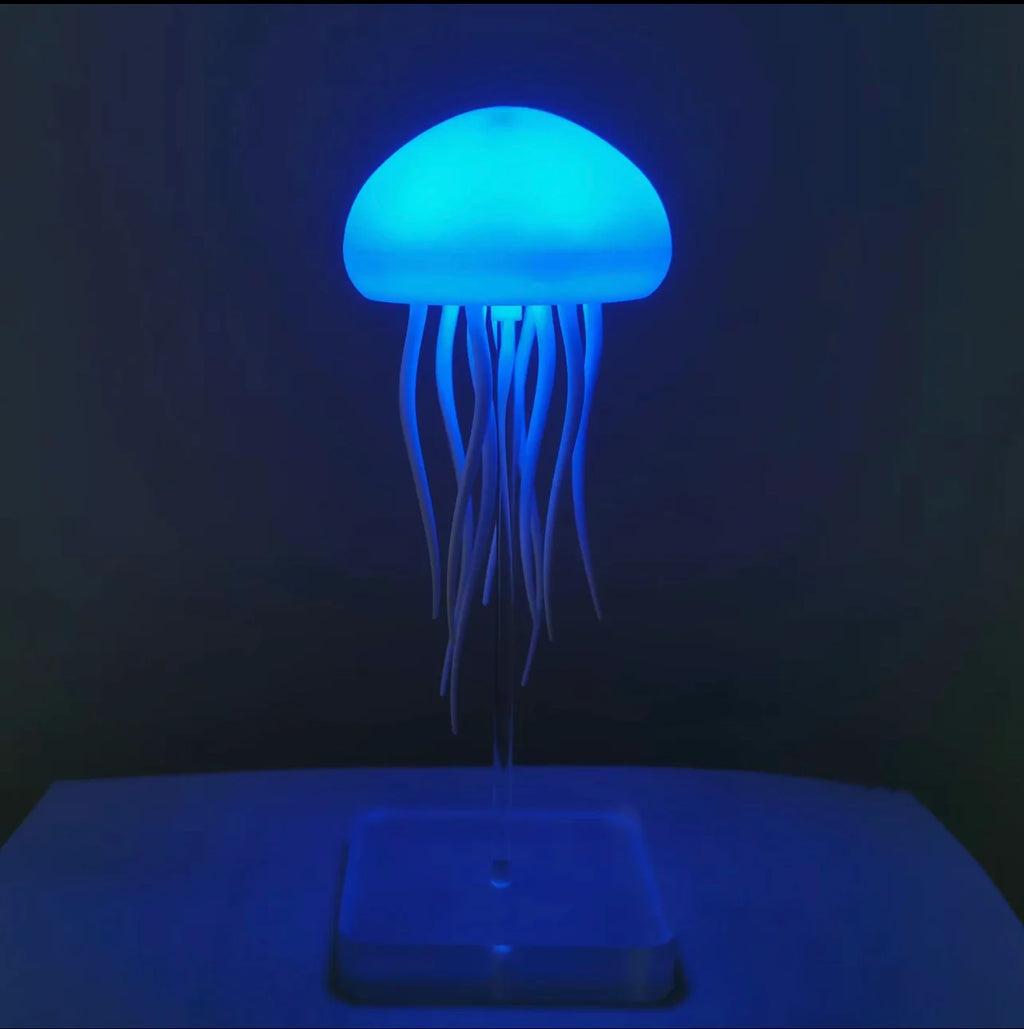 JellyFish Lamp🪼